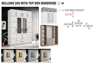 New Elevator Ray Furniture Luxury BELLUNO sliding mirror wardrobe