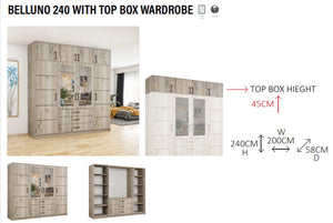 New Elevator Ray Furniture Luxury BELLUNO sliding mirror wardrobe