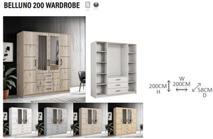 New Elevator Ray Furniture Luxury BELLUNO sliding mirror wardrobe