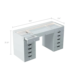 Ray Eva-RGB Vanity Desk Pro - 13 Storage Drawers