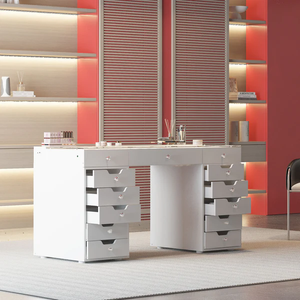 Ray Eva-RGB Vanity Desk Pro - 13 Storage Drawers